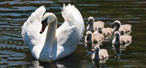 alleinerziehend familie heute